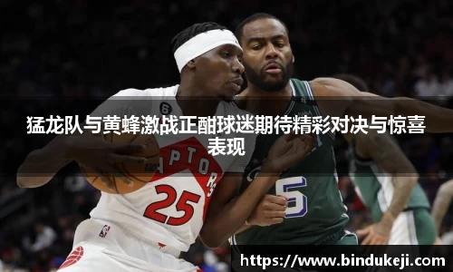 猛龙队与黄蜂激战正酣球迷期待精彩对决与惊喜表现