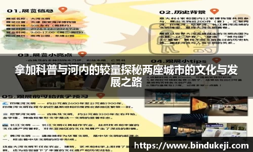 拿加科普与河内的较量探秘两座城市的文化与发展之路